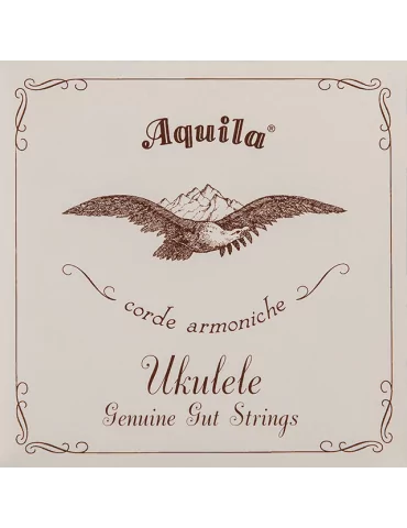 AQUILA 1U | MusicGoodDeal