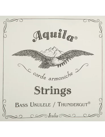 AQUILA 68U | MusicGoodDeal