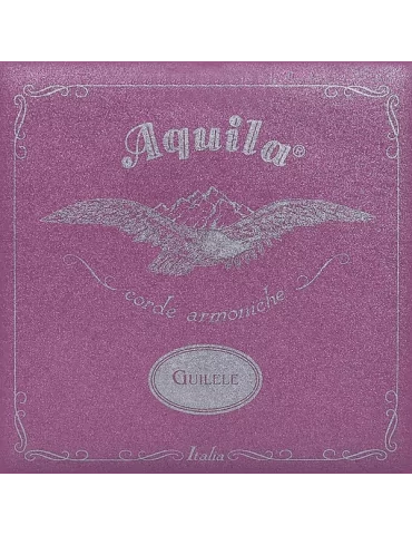 AQUILA 96C | MusicGoodDeal