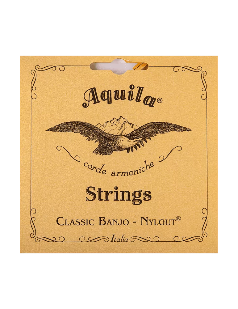 AQUILA 1B | MusicGoodDeal