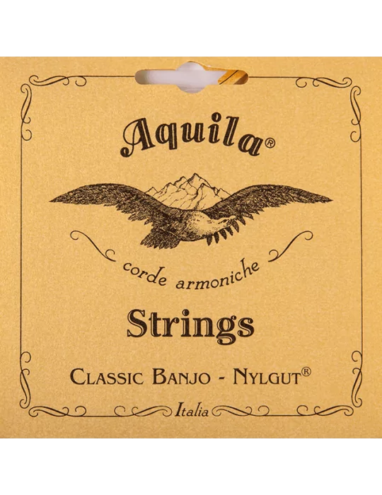 AQUILA 1B | MusicGoodDeal