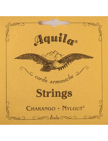 AQUILA 1CH | MusicGoodDeal