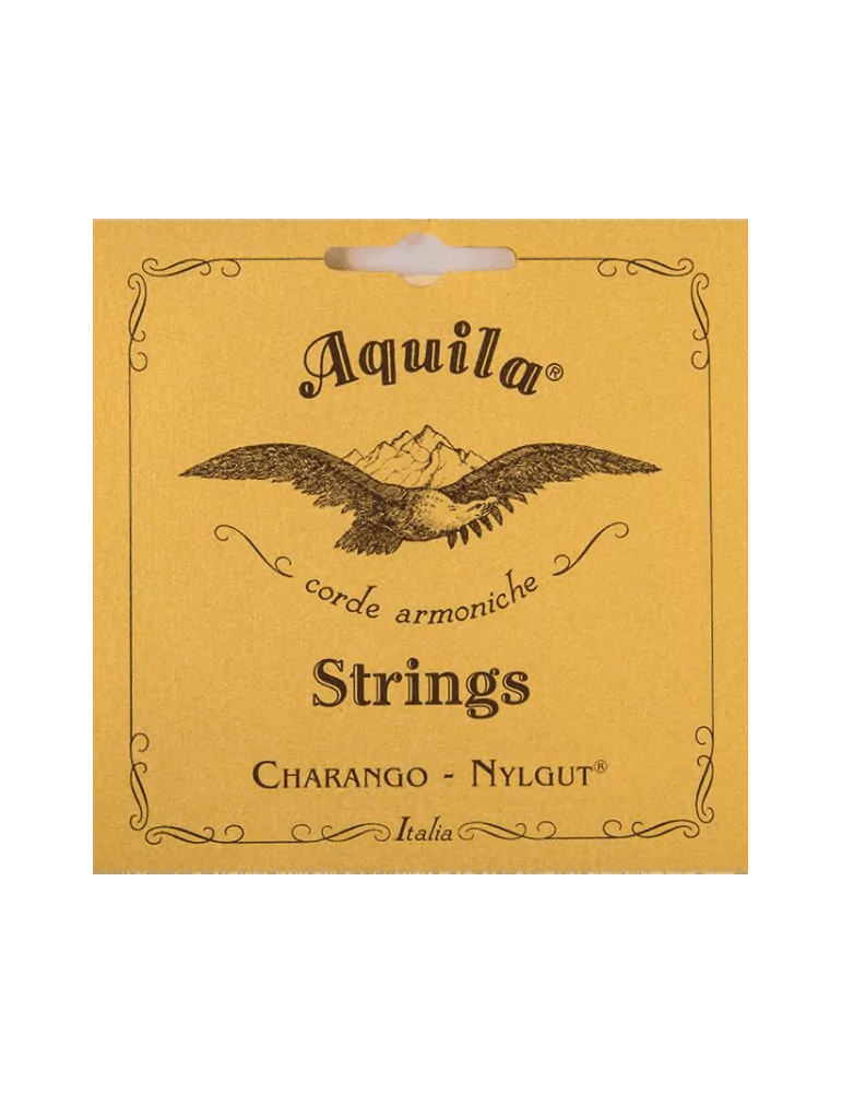AQUILA 1CH | MusicGoodDeal