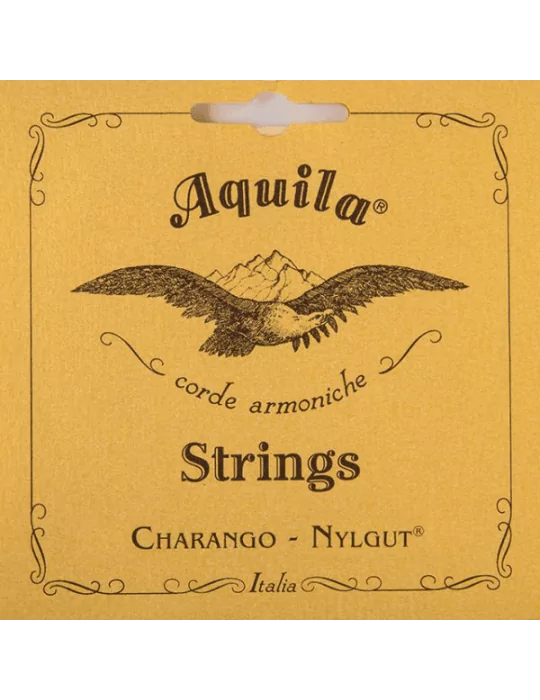AQUILA 1CH | MusicGoodDeal