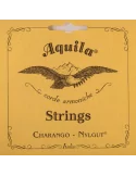 AQUILA 1CH | MusicGoodDeal