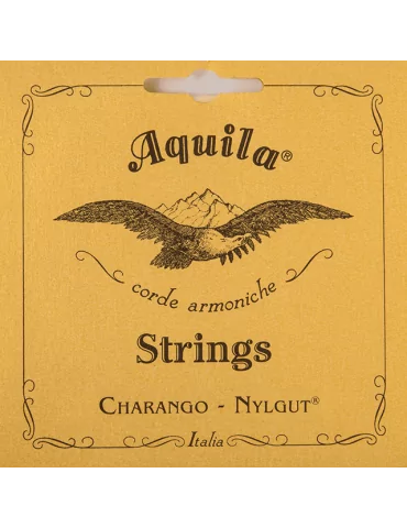 AQUILA 2CH | MusicGoodDeal