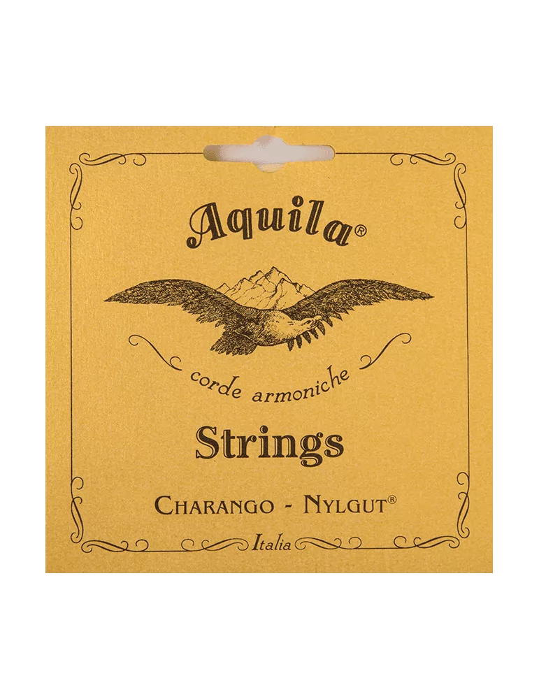 AQUILA 2CH | MusicGoodDeal