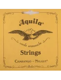 AQUILA 2CH | MusicGoodDeal