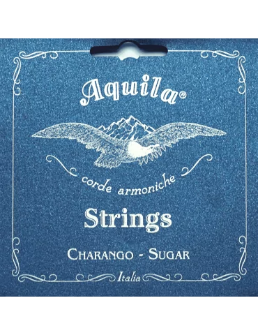 AQUILA 19CH | MusicGoodDeal