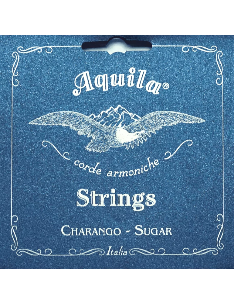 AQUILA 19CH | MusicGoodDeal