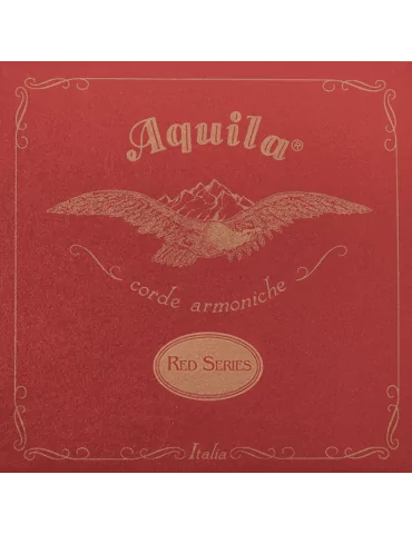 AQUILA 16CH | MusicGoodDeal