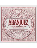 ARANJUEZ AR300 | MusicGoodDeal