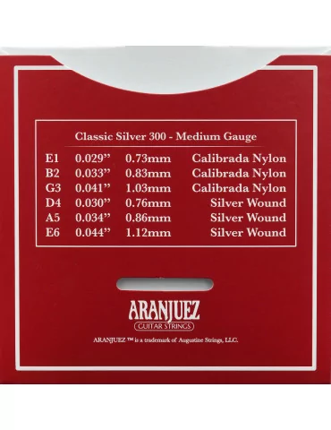 ARANJUEZ AR300 | MusicGoodDeal 2