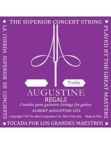 AUGUSTINE RG1-MI | MusicGoodDeal