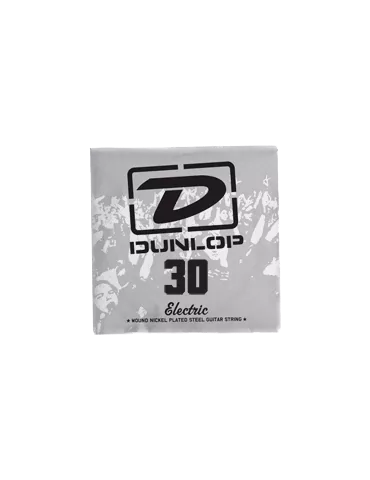 DUNLOP DEN30 | MusicGoodDeal