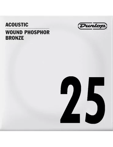 DUNLOP DAP25 | MusicGoodDeal