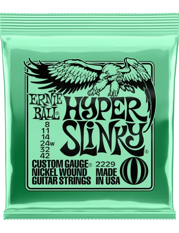 ERNIE BALL 2229 | MusicGoodDeal