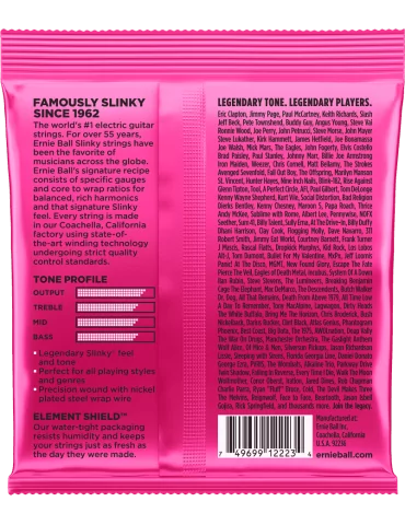 ERNIE BALL 2223 | MusicGoodDeal 2