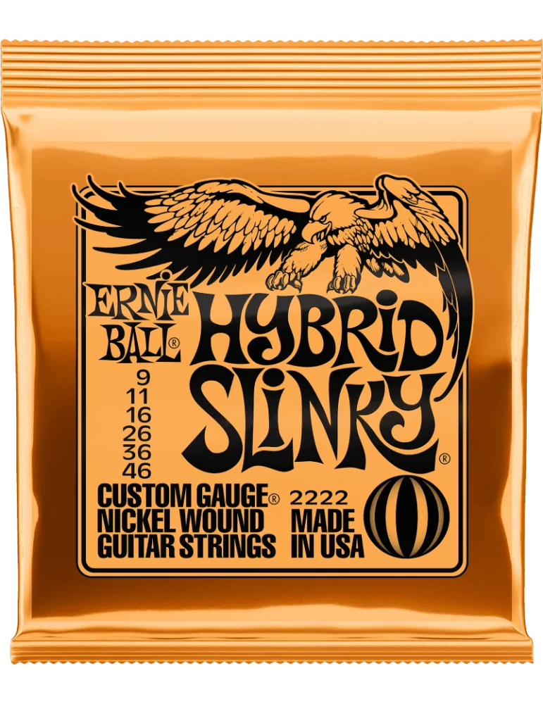 ERNIE BALL 2222 | MusicGoodDeal