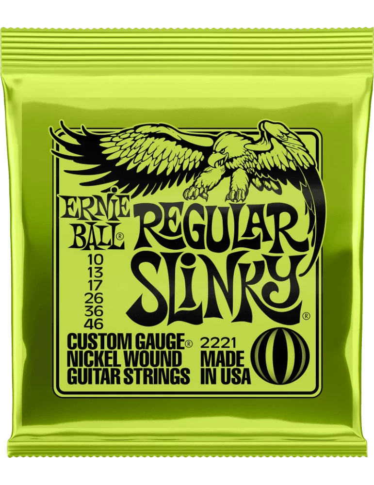 ERNIE BALL 2221 | MusicGoodDeal