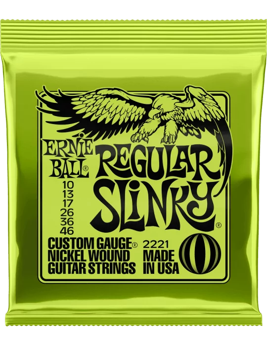 ERNIE BALL 2221 | MusicGoodDeal