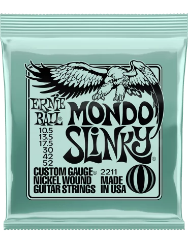 ERNIE BALL 2211 | MusicGoodDeal
