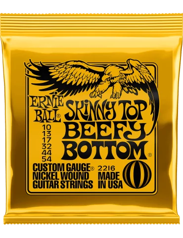 ERNIE BALL 2216 | MusicGoodDeal