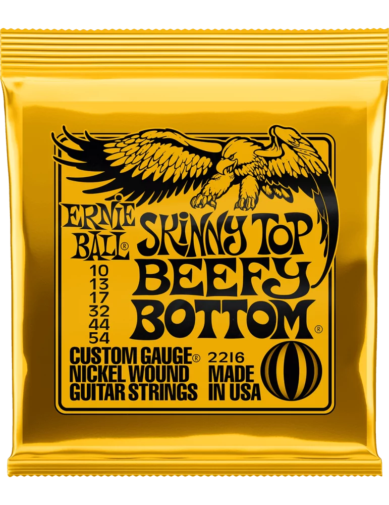 ERNIE BALL 2216 | MusicGoodDeal