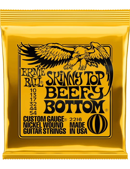 ERNIE BALL 2216 | MusicGoodDeal