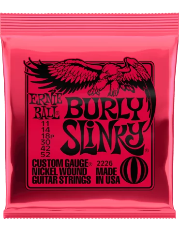 ERNIE BALL 2226 | MusicGoodDeal