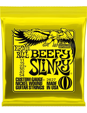 ERNIE BALL 2627 | MusicGoodDeal
