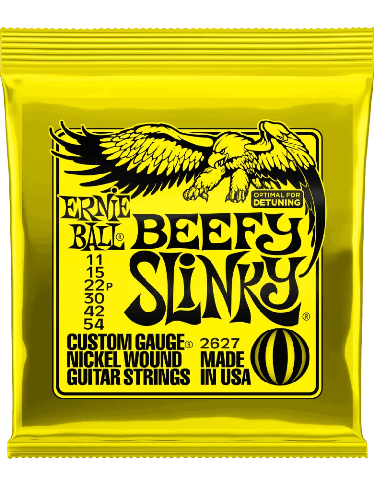 ERNIE BALL 2627 | MusicGoodDeal