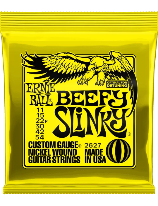 ERNIE BALL 2627 | MusicGoodDeal
