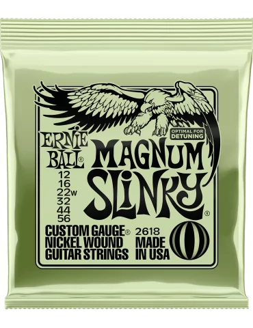 ERNIE BALL 2618 | MusicGoodDeal