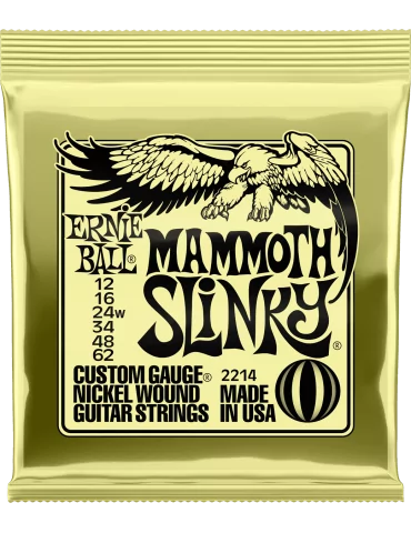 ERNIE BALL 2214 | MusicGoodDeal