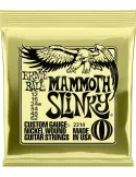 ERNIE BALL 2214 | MusicGoodDeal