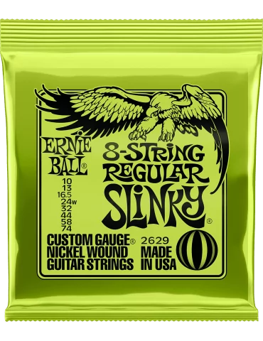 ERNIE BALL 2629 | MusicGoodDeal