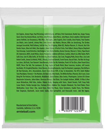 ERNIE BALL 2230 | MusicGoodDeal 2