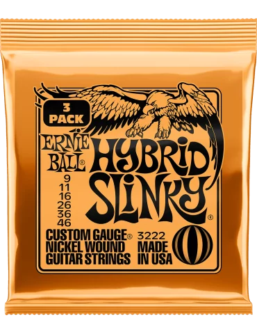 ERNIE BALL 3222 | MusicGoodDeal