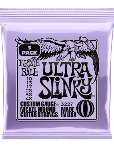ERNIE BALL 3227 | MusicGoodDeal