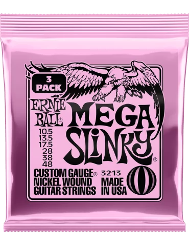 ERNIE BALL 3213 | MusicGoodDeal