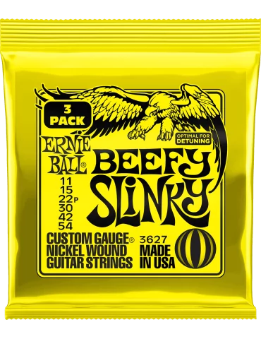 ERNIE BALL 3627 | MusicGoodDeal
