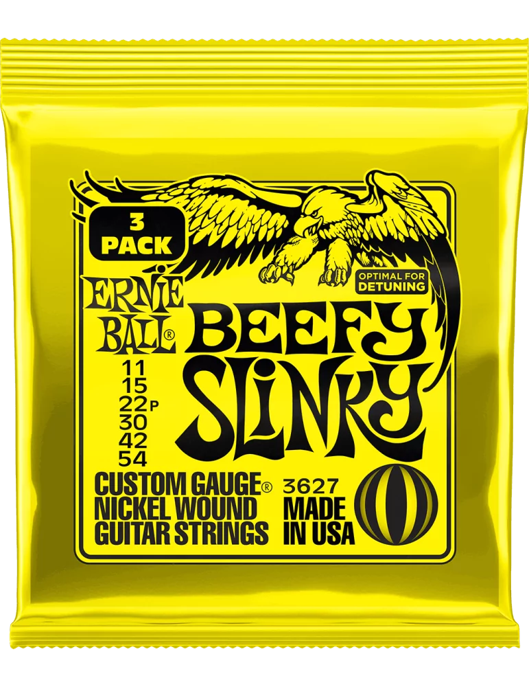 ERNIE BALL 3627 | MusicGoodDeal