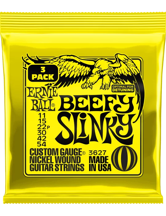 ERNIE BALL 3627 | MusicGoodDeal
