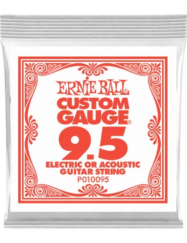 ERNIE BALL 010095 | MusicGoodDeal