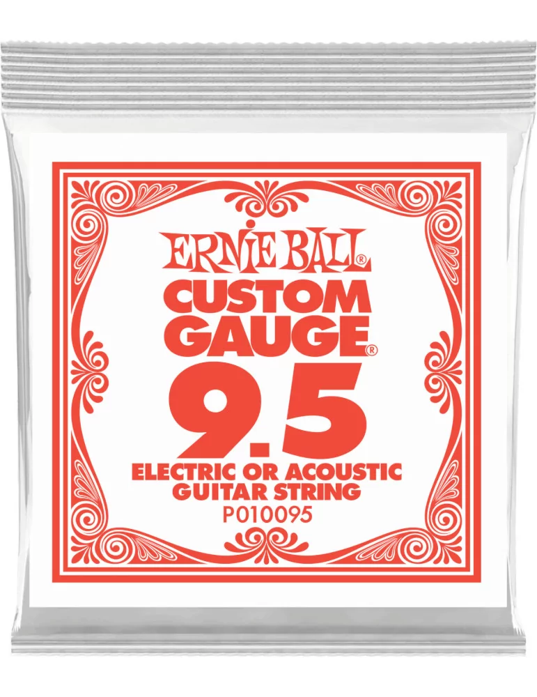 ERNIE BALL 010095 | MusicGoodDeal