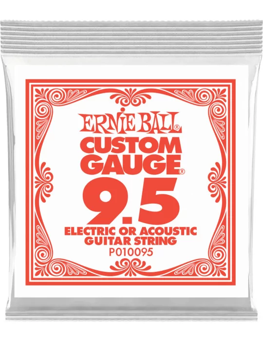 ERNIE BALL 010095 | MusicGoodDeal