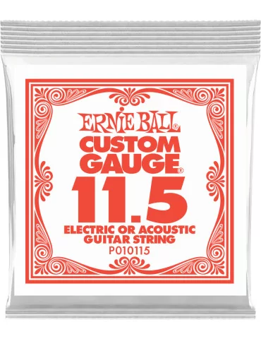 ERNIE BALL 010115 | MusicGoodDeal