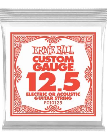 ERNIE BALL 010125 | MusicGoodDeal