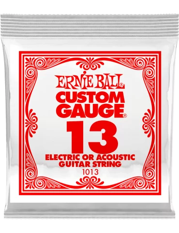 ERNIE BALL 1013 | MusicGoodDeal